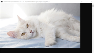 Нажмите на изображение для увеличения
Название: 1.png
Просмотров: 397
Размер:	566.4 Кб
ID:	8438