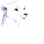 Аватар для lioncub