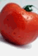 Аватар для POMIDORKA