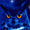 FireOwl