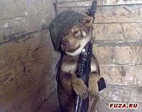 1259569087 fotoprikol 056