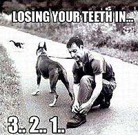 Loosing your teeth in D