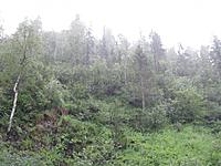 Дождя немного