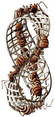 Искажённая восьмёрка