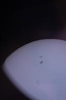 Солнце через солнечный фильтр. На самом деле выглядит белым (с пятнами) на чёрном фоне. Красный оттенок - это просто засветка фотоаппарата сбоку.