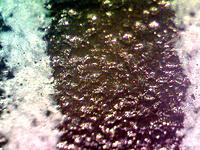 Пластмассовая линейка. Белые полосы - это миллиметровые деления. Получается, что ширина изображения около 1мм. Объектив 4x (минимальное увеличение).