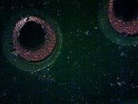 Плата ОЗУ DDR2. Видны переходные отверстия. Объектив 4x (минимальное увеличение).