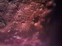 Сера спички. Объектив 4x (минимальное увеличение).