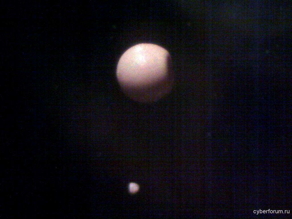 Яйцо артемии (маленький рачок, обитающий в водоёмах). Объектив 4x (минимальное увеличение).