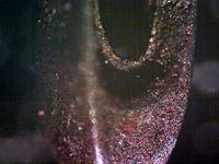 Ушко иголки. Иголка немного ржавая :) Объектив 4x (минимальное увеличение).