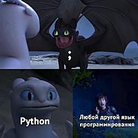 Python